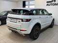 Land Rover Range Rover Evoque SE Dynamic 2,0 TD4 Aut. Weiß - thumbnail 9