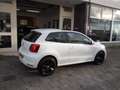Volkswagen Polo 1.2 TSI Comfortline PANO PDC LM VELGEN Blanc - thumbnail 5