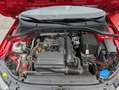 Skoda Octavia 1,2 TSI Ambition Rot - thumbnail 14