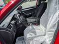 Skoda Octavia 1,2 TSI Ambition Rot - thumbnail 4
