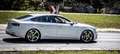 Audi S5 SB 3,0 TFSI quattro S-tronic (Überholter Motor!) - thumbnail 4