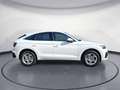 Audi Q5 40TDI quattro S tronic advanced Bus Weiß - thumbnail 6