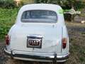 Fiat 1100 BAULETTO Grigio - thumbnail 5