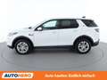 Land Rover Discovery Sport P300e Hybrid AWD Aut. *LED*SPUR*CAM*PANO* Blanc - thumbnail 3