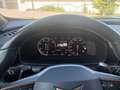 CUPRA Formentor Formentor 2020 2.0 tdi 4drive 150cv dsg Blu/Azzurro - thumbnail 11