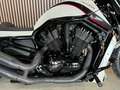 Harley-Davidson VRSC Night Rod Nightster Blanco - thumbnail 4