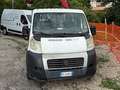 Fiat Ducato 35 Maxi Passo Lungo con gru 120 cv Bianco - thumbnail 2
