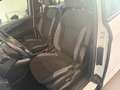 Ford B-Max B-MAX Trend N 1,0 EcoBoost Start/Stop aus 1. Be... Weiß - thumbnail 10