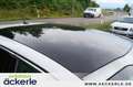 Peugeot 208 Allure GT-Line I Navi I Pano I Kamera I Easy-Paket Bianco - thumbnail 11
