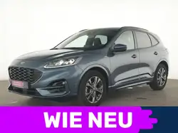 Ford Kuga ST Line ACC|Fahrassistenz Paket|Head up