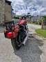 Harley-Davidson Sportster XL 883 Rot - thumbnail 3