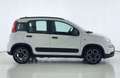 Fiat Panda 1.0 FireFly S&S Hybrid City Life Bianco - thumbnail 3