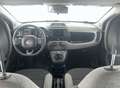 Fiat Panda 1.0 FireFly S&S Hybrid City Life Bianco - thumbnail 12