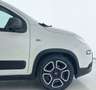 Fiat Panda 1.0 FireFly S&S Hybrid City Life Bianco - thumbnail 13