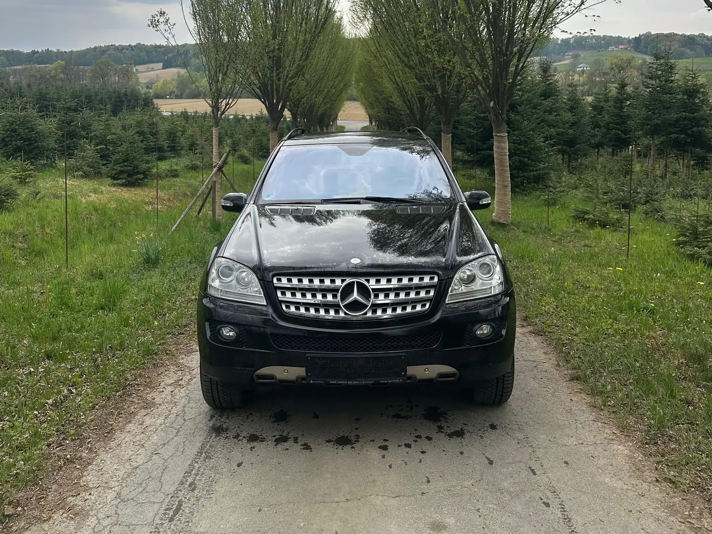 Mercedes-Benz ML 420 ML 420 CDI 4MATIC Aut. DPF Schwarz - 2