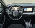 Skoda Octavia 2.0 TDI DPF Ambition (EURO 6d) Grau - thumbnail 16