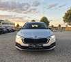 Skoda Octavia 2.0 TDI DPF Ambition (EURO 6d) Grau - thumbnail 3