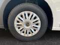 Volkswagen Caddy Basis 2.0 TDI Cargo AHK 2xKlima PDC SHZ bijela - thumbnail 15