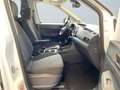 Volkswagen Caddy Basis 2.0 TDI Cargo AHK 2xKlima PDC SHZ bijela - thumbnail 10