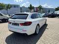 BMW 530 d Luxury Line-HEAD UP-AHK-19 ZOLL-KAMERA Weiß - thumbnail 5
