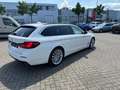BMW 530 d Luxury Line-HEAD UP-AHK-19 ZOLL-KAMERA Weiß - thumbnail 10