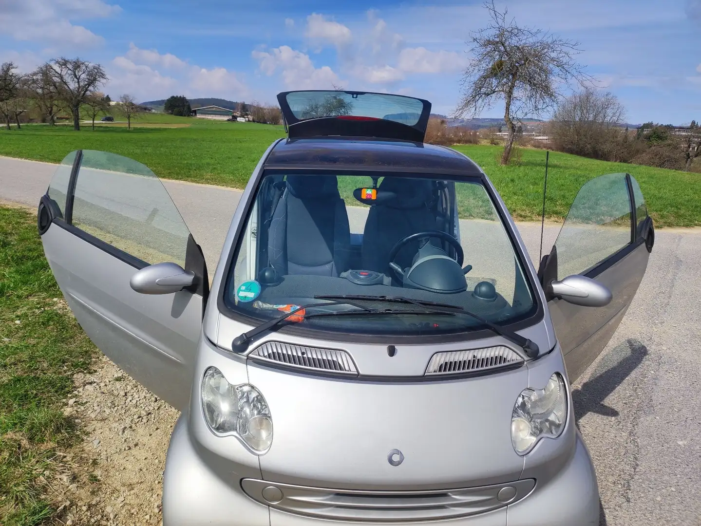 smart forTwo CDI Basis Grau - 1