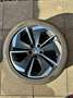 Skoda Octavia Octavia Combi 2,0 TDI RS DSG RS Grau - thumbnail 11