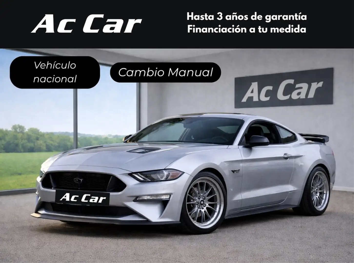 Ford Mustang 5.0 Ti-VCT V8 331kW  GT (Fastb.) Gris - 1