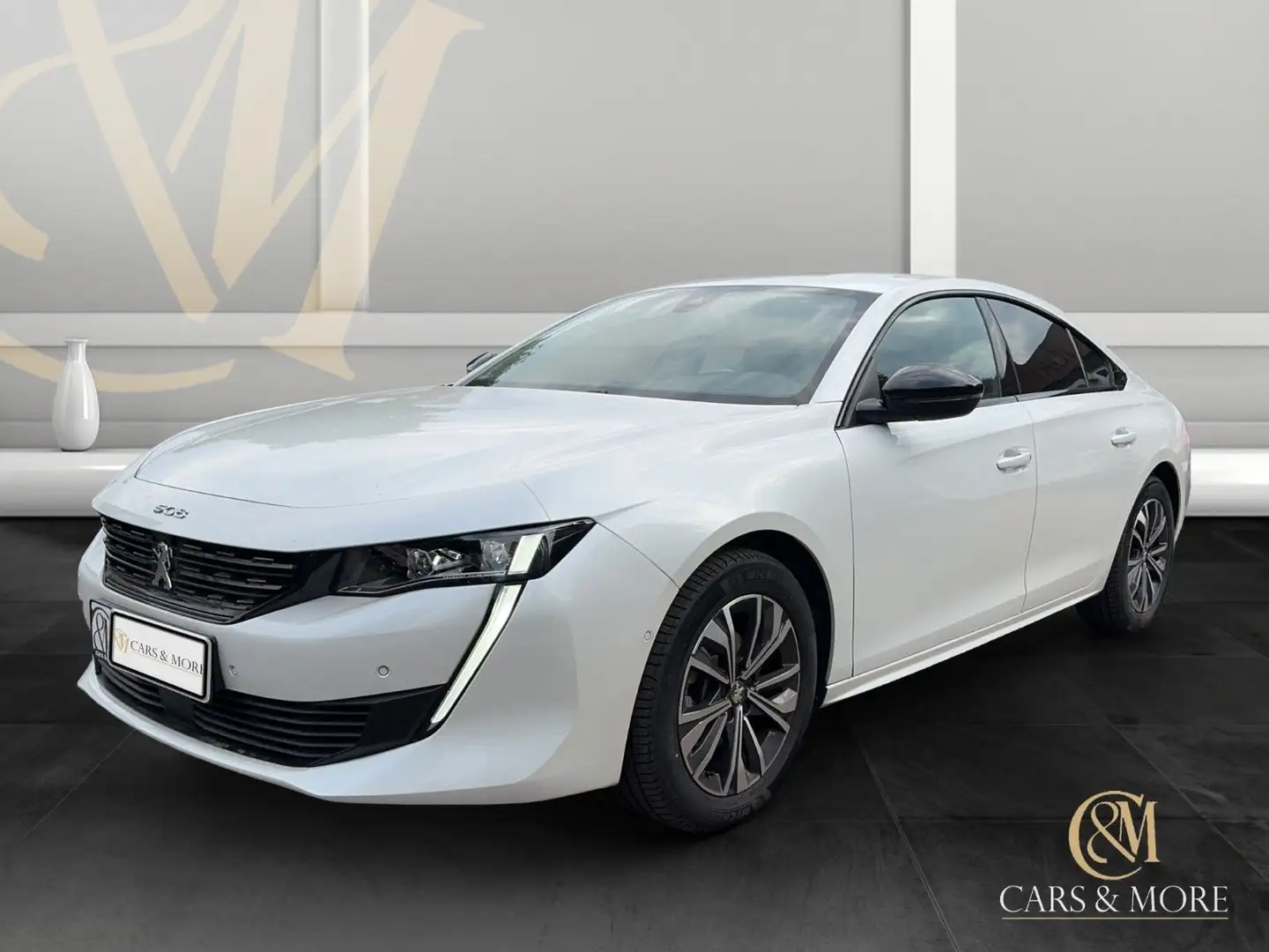 Peugeot 508 Allure Pack T.Leder Navi RFK SHZ LED ACC DAB Weiß - 2