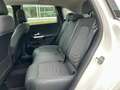 Mercedes-Benz B 180 d Progressive/Multibeam/Panorama-SD/360°K/ Biały - thumbnail 15