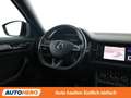 Skoda Kodiaq 2.0 BiTDI RS 4x4 Schwarz - thumbnail 13