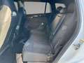 Volkswagen Tayron Sport TDI 4MOTION DSG Blanc - thumbnail 13