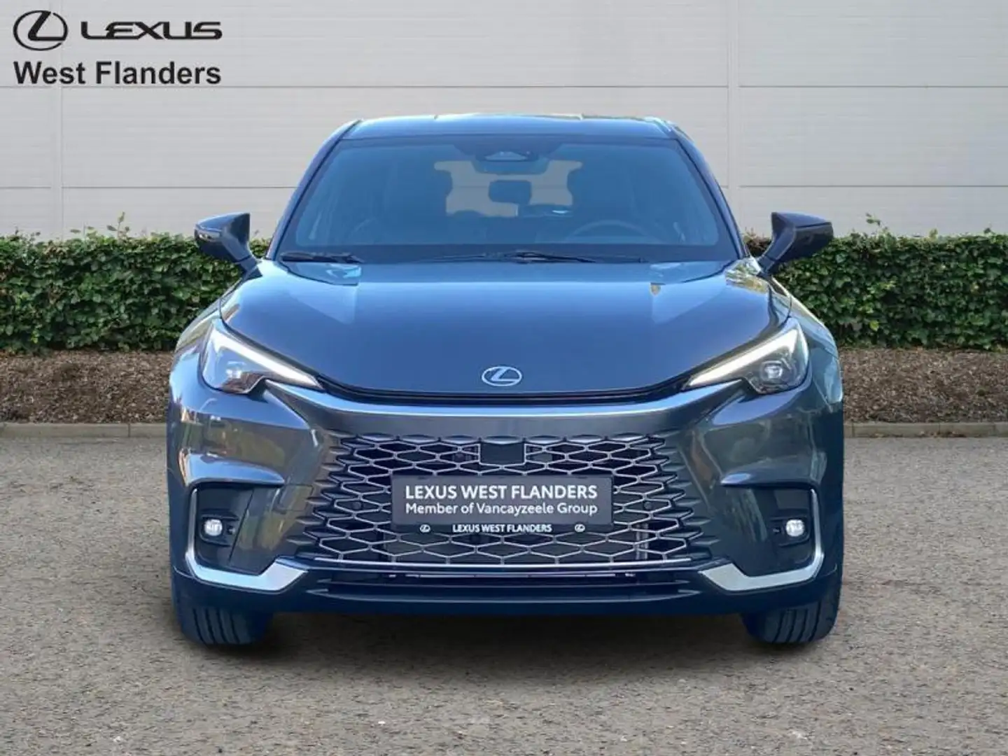 Lexus LBX Relax+360°cam+gps+sens V&A Gris - 2