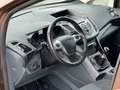 Ford C-Max Trend *Zahnriemen NEU* Braun - thumbnail 8