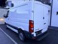Volkswagen Crafter    Pickerl Neu Weiß - thumbnail 7