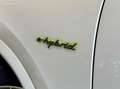 Porsche Cayenne Hybride Platinum Edition Wit - thumbnail 17