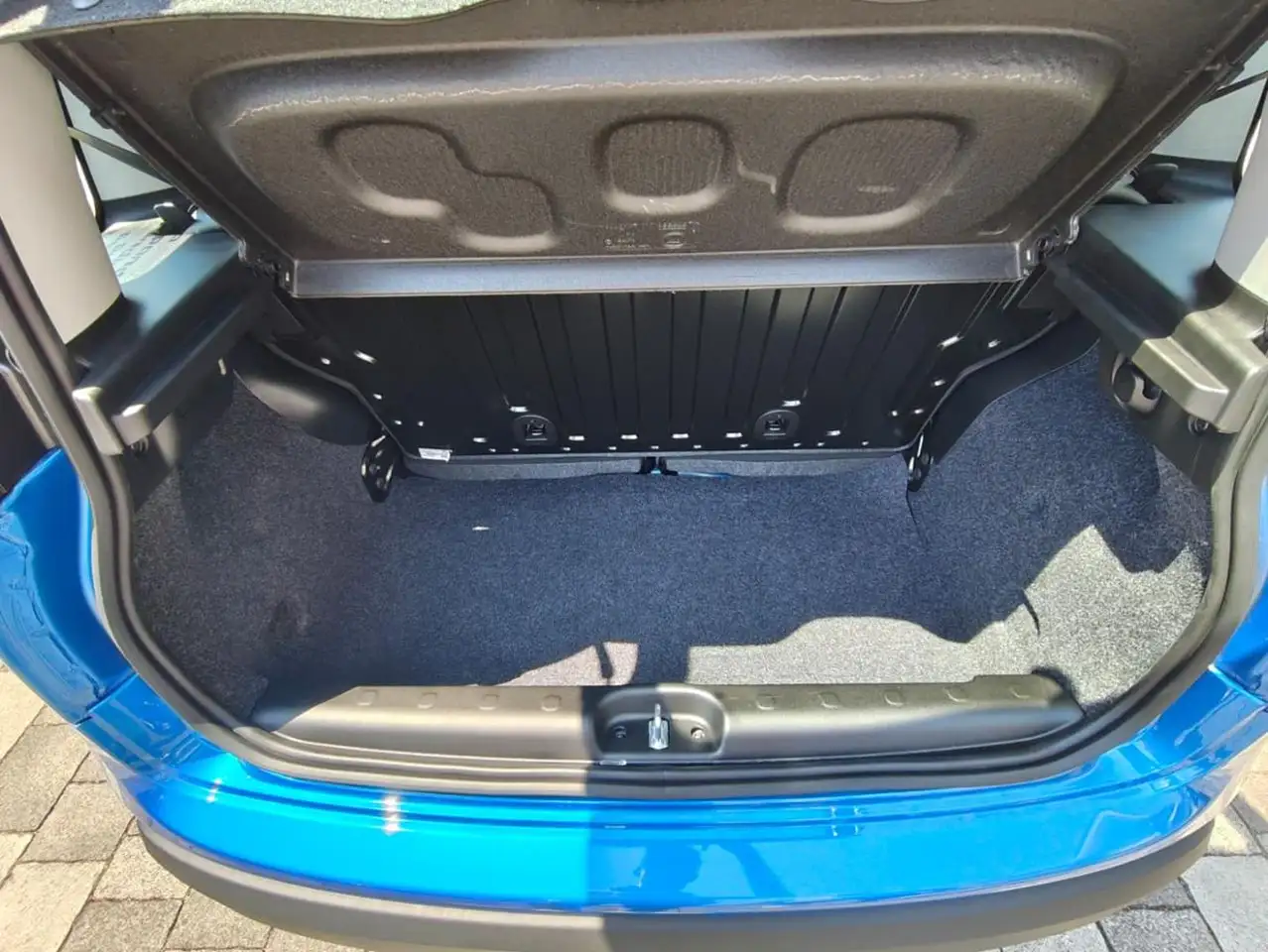 Fiat Panda 1.0 FireFly 70CV S&S Hybrid, миниатюра 11