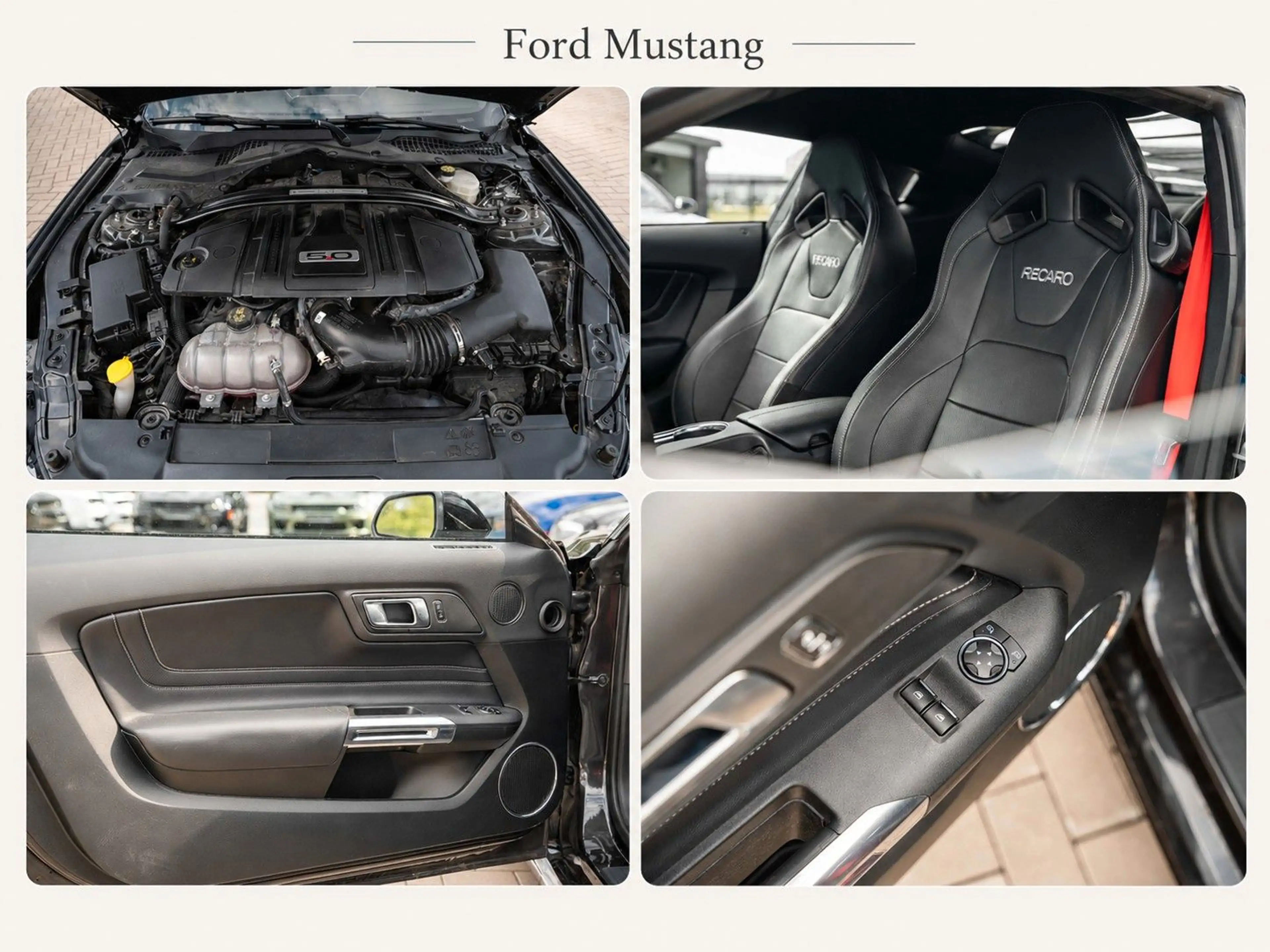 Ford Mustang GT 5.0 V8 | RECARO | Automatik | Shelby- — photo 12