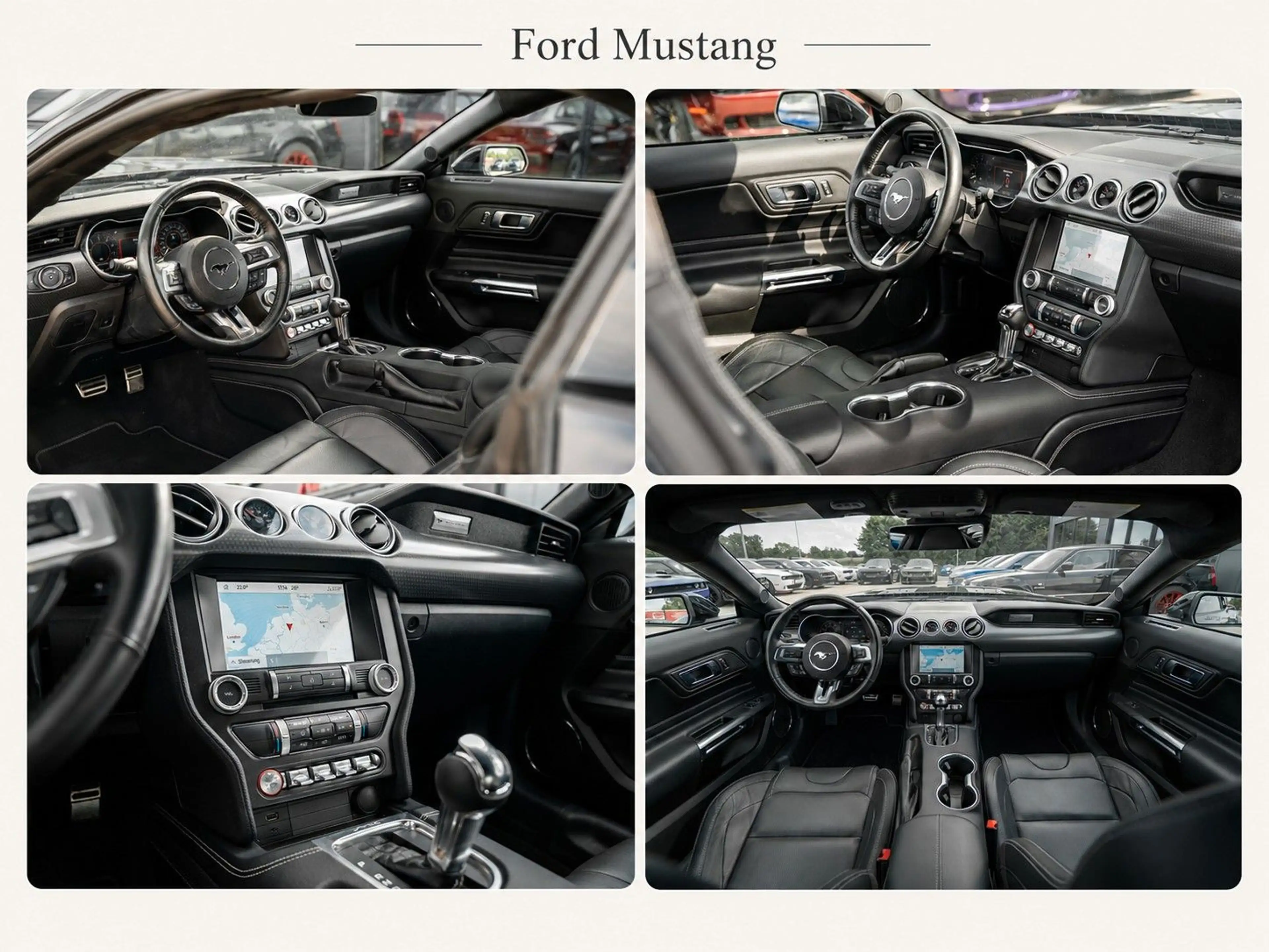Ford Mustang GT 5.0 V8 | RECARO | Automatik | Shelby- — photo 13