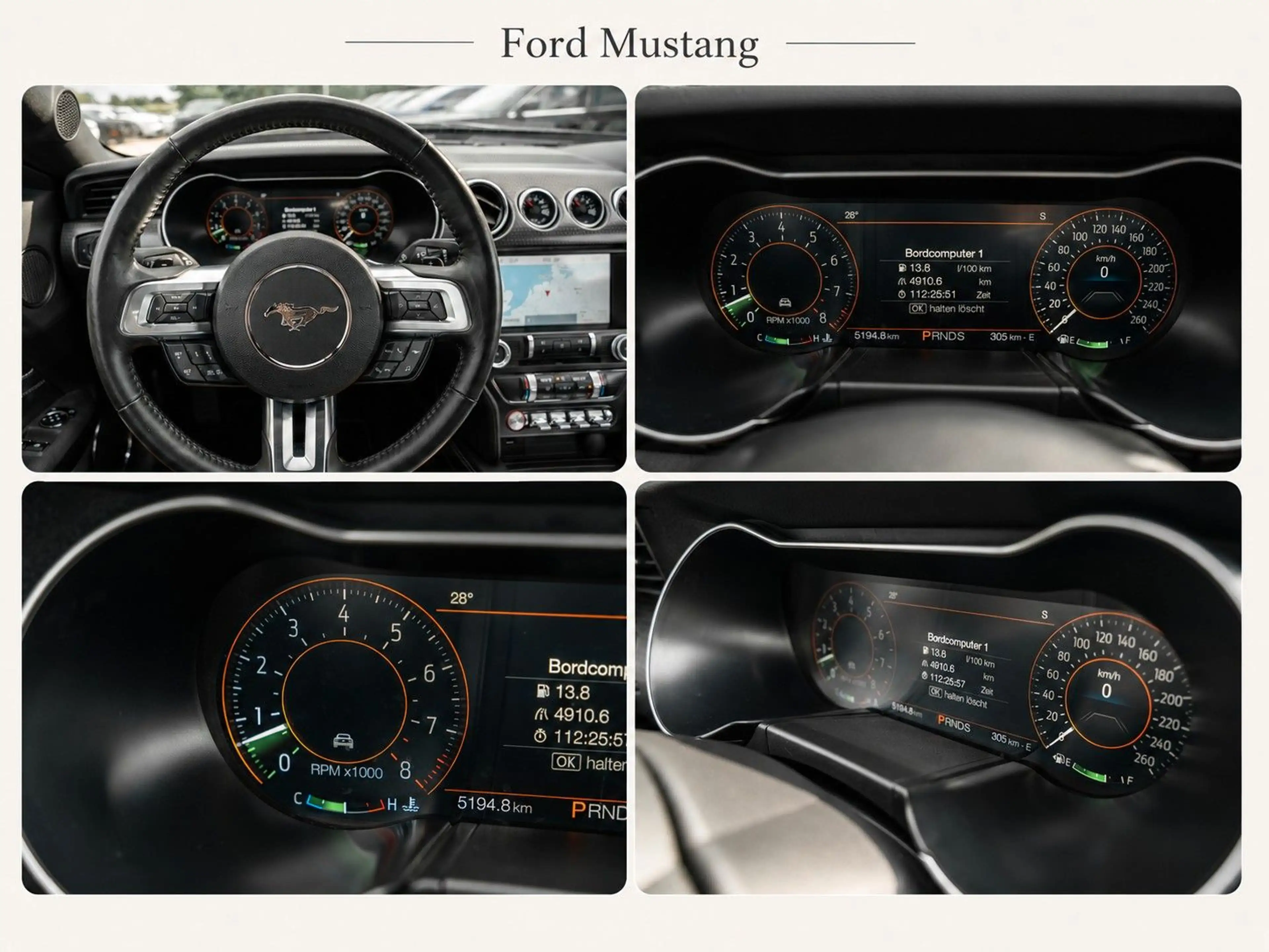 Ford Mustang GT 5.0 V8 | RECARO | Automatik | Shelby- — photo 14