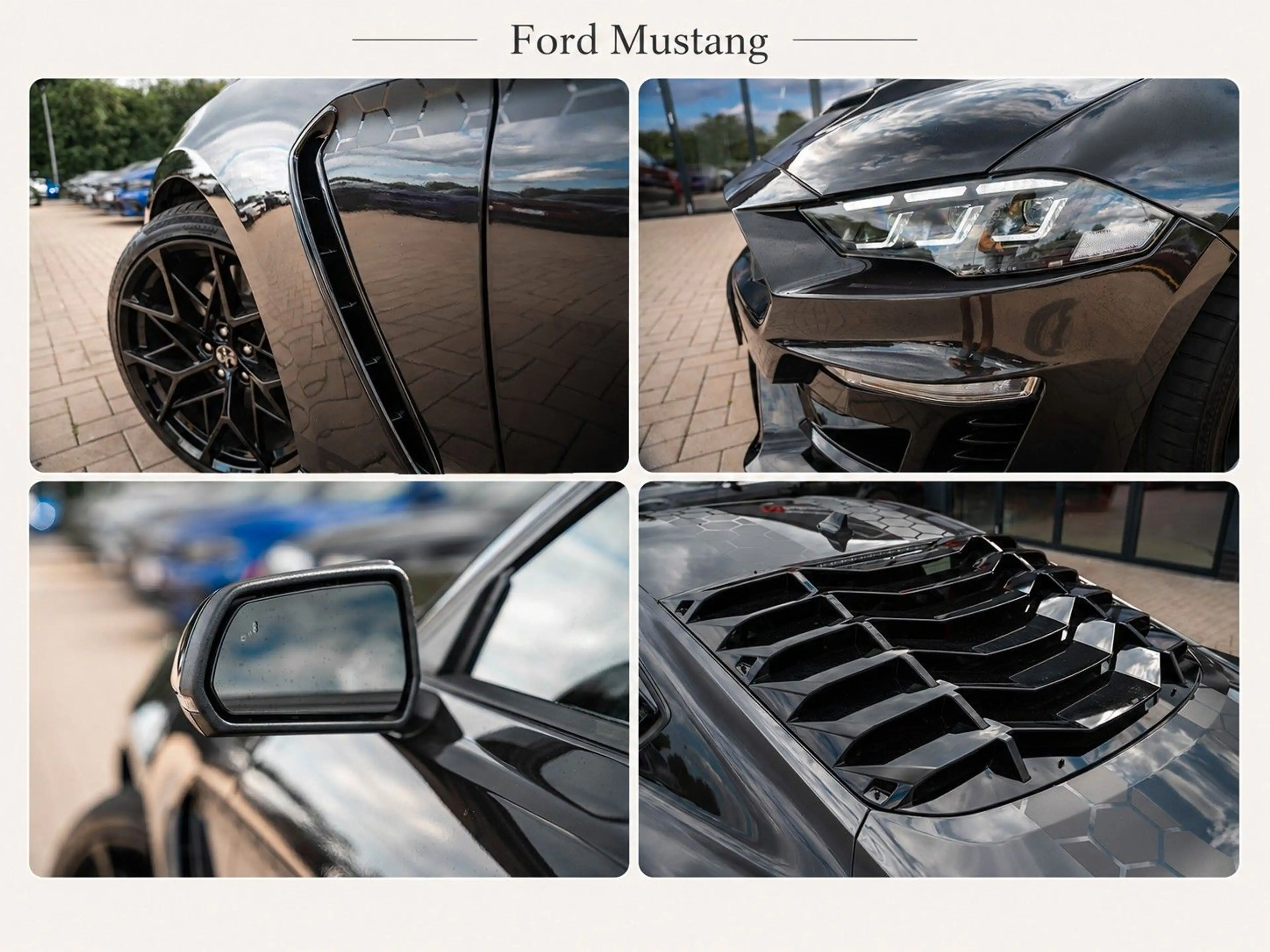 Ford Mustang GT 5.0 V8 | RECARO | Automatik | Shelby- — photo 11