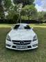 Mercedes-Benz SLK 200 SLK200 AMG SPORT BLUE-CIENCY A - thumbnail 1