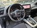 Audi Q5 3.0TDI quattro Advance S-Tronic Blanco - thumbnail 15