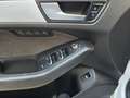 Audi Q5 3.0TDI quattro Advance S-Tronic Blanco - thumbnail 16
