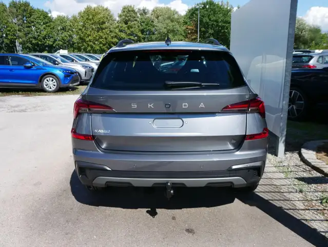 Skoda Kamiq view 2