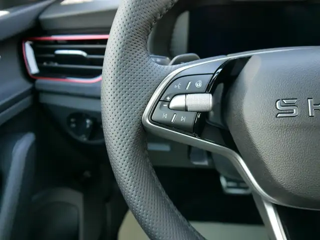 Skoda Kamiq view 12