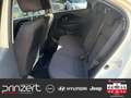 Kia Rio 1.4 MT6 "FIFA World Cup Edition" Allwetter Weiß - thumbnail 13
