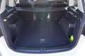 Volkswagen Touran 1.5 TSI Highline DSG LED Navi ACC AHK PDC Bianco - thumbnail 12