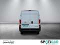 Opel Movano HKa L2H2 3,5t Edition verstärkt, Laderaumboden Blanc - thumbnail 5