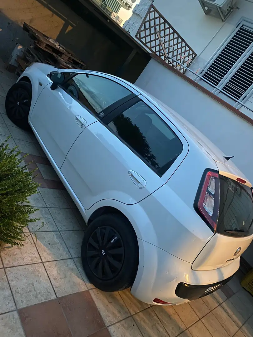 Fiat Punto Evo Punto III 2009 Evo 5p 1.3 mjt MyLife s Bianco - 1